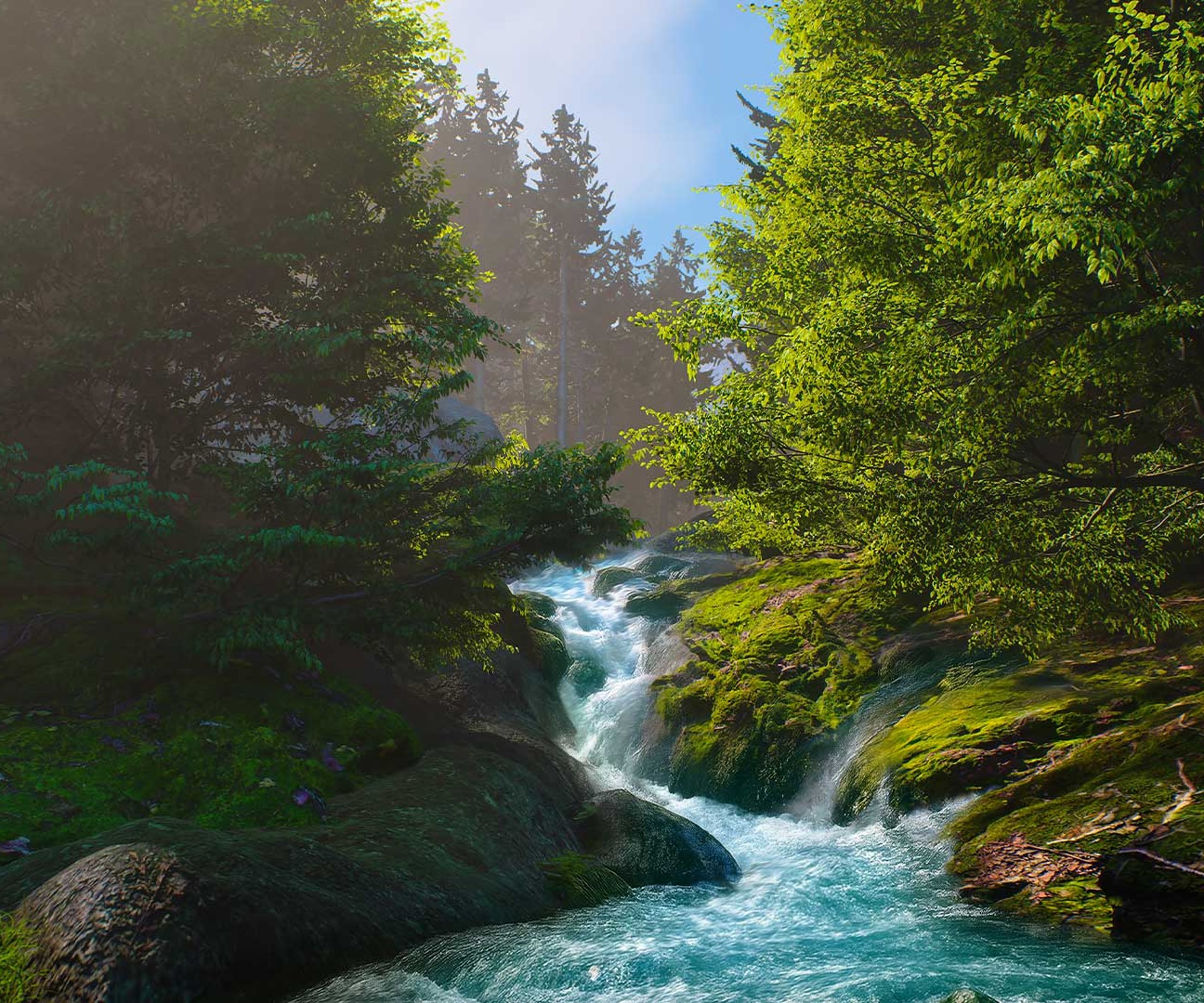 Stream flows through a forest